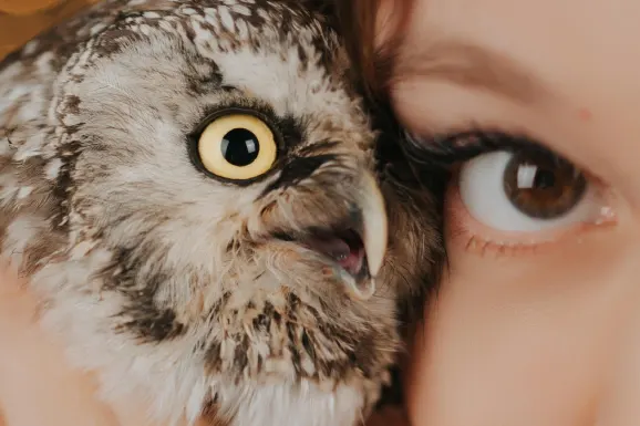 Καζίνο Β Μπετς Υποστηριξη